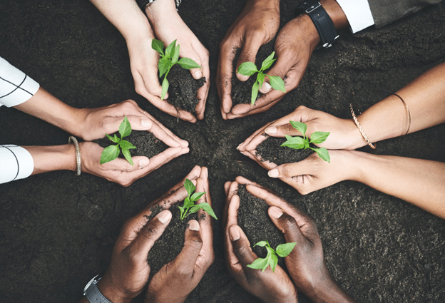 A team trying to sustainable procurement to enhance the brand reputation of the business.