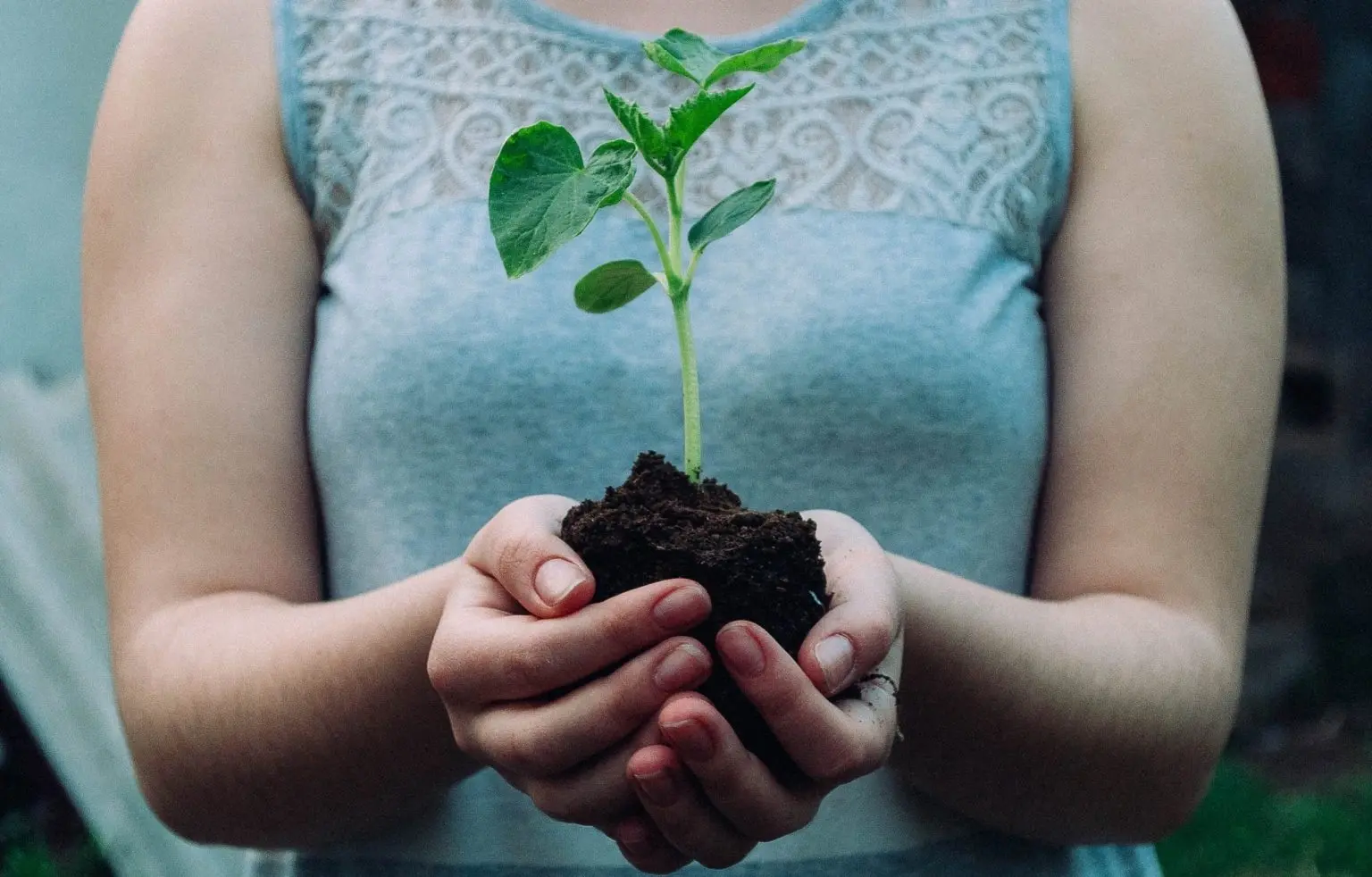 procurement-partnership-to-sustainable-procurement