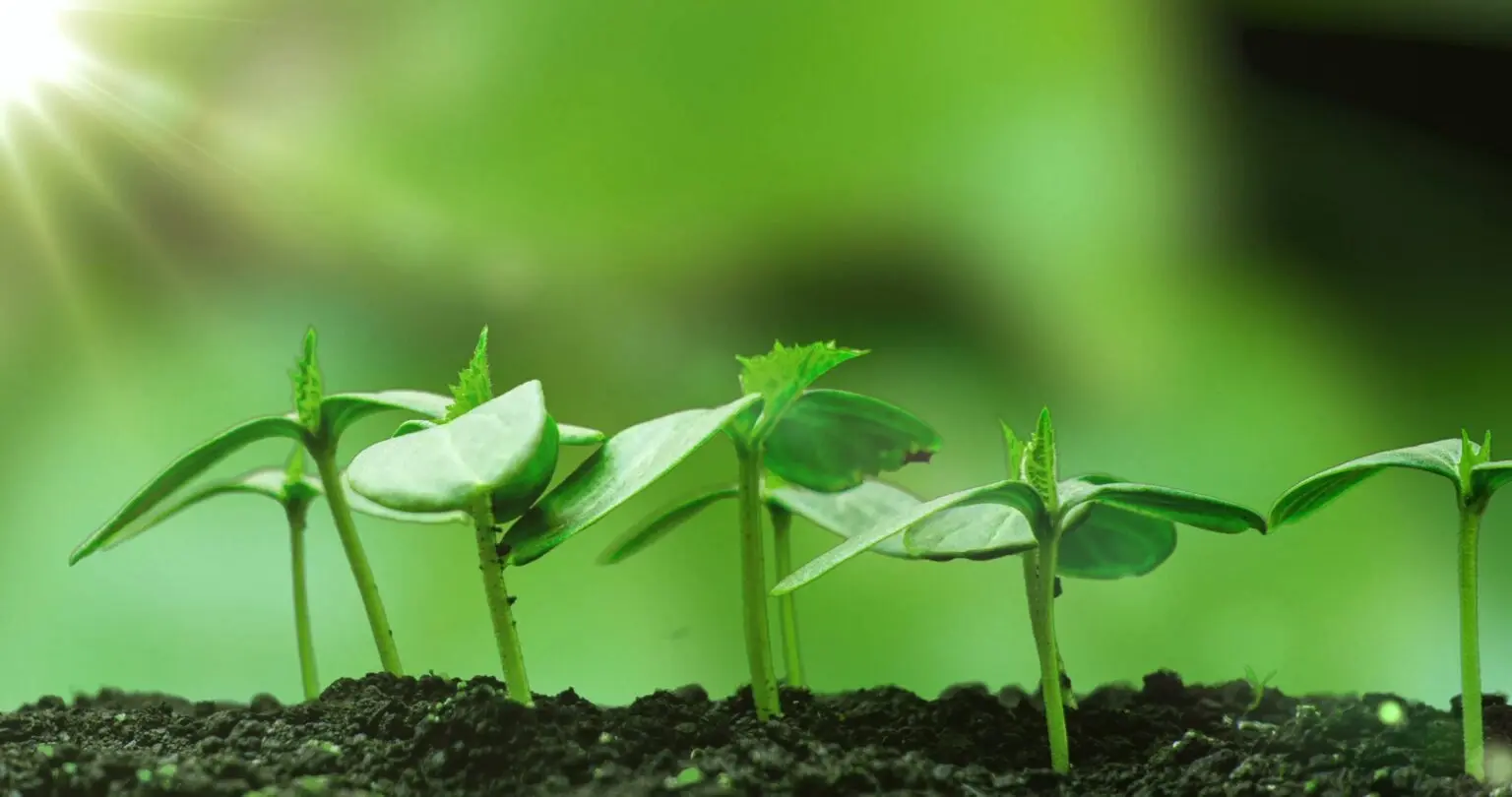 establishing-governance-controls